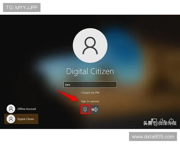 尊龙平台登录入口:官方登录入口的安全性分析与用户保护措施